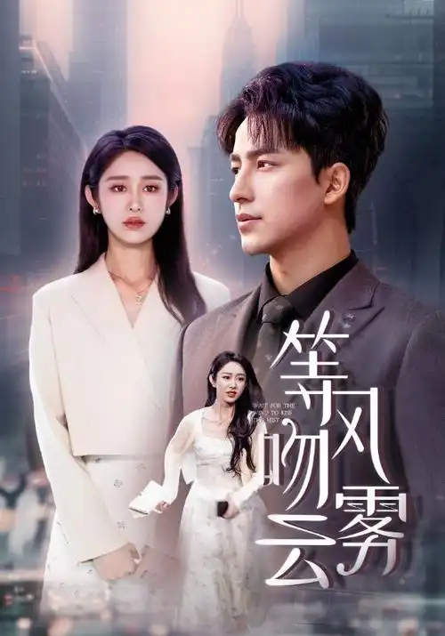赘婿 电视剧海报